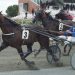 Southern harness racing snippets 4 Southern harness racing snippets