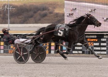 Sloppy track can’t deter Fighting Evil