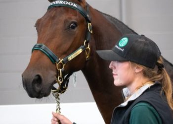 Entries now open for 2024 London Classic Yearling Sale