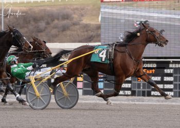 Lunar pulls off 11-1 upset at The Meadows