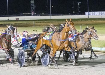 French and Ashwood to take on Tasmania