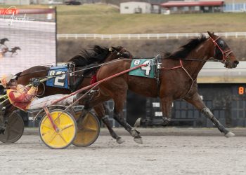 Mind Yown Business conquers Meadows feature in 9-1 upset