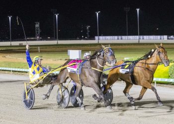 Mufasa Metro takes out Cranbourne Trotters Cup