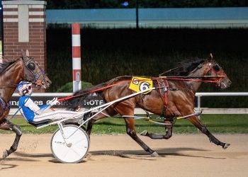 Apple Juice voted Minnesota Harness Horse of the Year