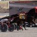 Redwhite N Goo springs 23-1 upset in Meadows feature