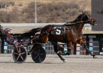 Risenshine Seaside, Warrawee Yang capture Meadows co-features