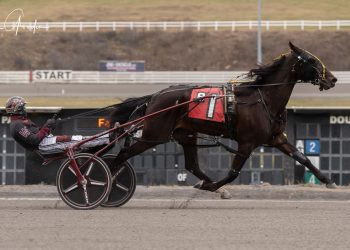 The Gypsy Queen IR gets sixth straight in Meadows feature