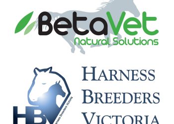 Stars of the Melbourne sale on parade