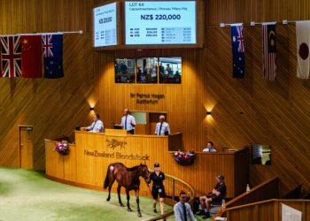 Captaintreacherous on top of sale at opening session