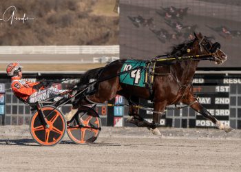 Wehadababyetzaboy captures Meadows feature