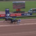 Gitano wins Prix de Cauvicourt at Caen