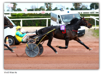 Grand Criterium de Vitesse de la Cote d’Azur Sunday