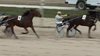 Enjoy wins Vimpex Tabak DIJ at Kincsem Park