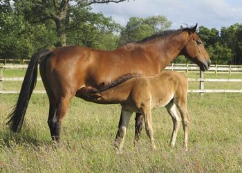 Same crap, different season