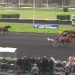 Global Agreement wins Prix de Sedan at Vincennes 2 Global Agreement wins Prix de Sedan at Vincennes