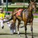 Gloucester Park review 15 March