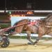 Star Major heading for Easter Cup after dominant win