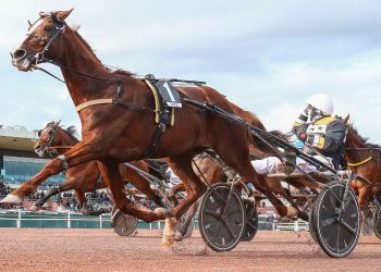 Record set in 200,000€ Grand Criterium de Vitesse