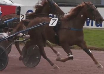 Late rally takes Laval feature