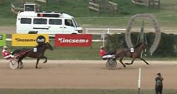 Janos Brody Memorial to Cardenas Baba