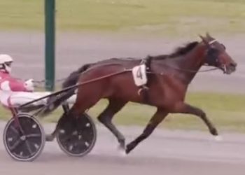 Three-year-olds shine at Firenze