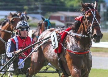 Muscle Bank faultless with three on the trot