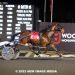 Sometime Somewhere scores in Woodbine Mohawk feature