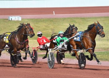 Developing pacers and trotters in action at Pocono