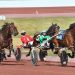 Developing pacers and trotters in action at Pocono