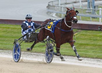 Entries now open for 2024 Weanling Sale