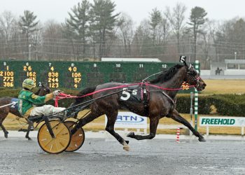 Sheridan and Lionhead pounce to AHDC Win