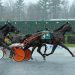 My Big Kadillac and Polansky power to AHDC upset