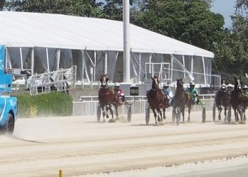 Sires’ Stakes fillies heats to get underway