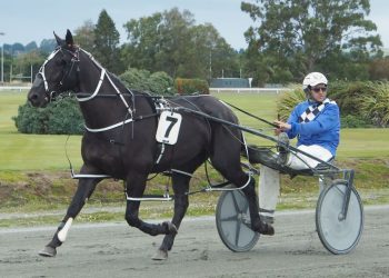 Nathan talks Kindergarten Stakes Day