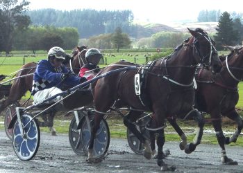 Breckon Farms bred trifecta