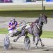 Tipsy to chase Group 1 glory in her final season