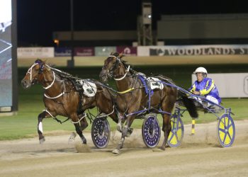 Cold Chisel’s powerful display in Group One Northern Derby