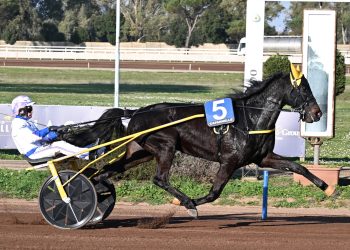 Torino, Italy feature goes to Cosmo Spritz