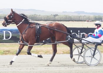 Ferguson has four good hometown chances