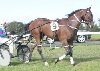 Da Vinci brushes aside opposition