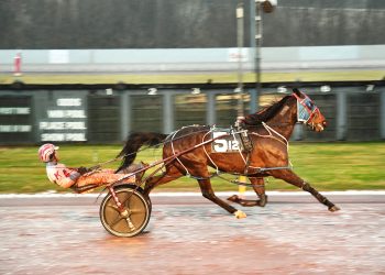 Pacing star notches tenth straight victory