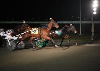 Trio of NAADA trots held at Yonkers