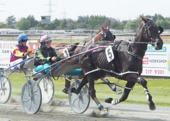 Three Green lights for Kirstin