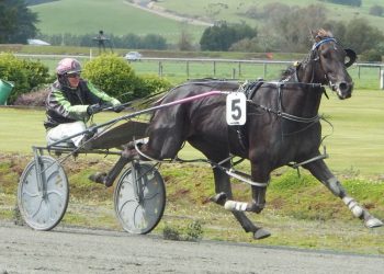 Fernleigh Blackbird in the form of her life