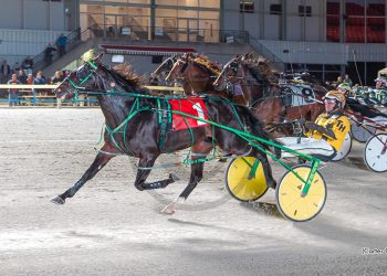 Fourever Boy to give Yonkers a try