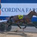 World's richest harness race starting to take shape 2 Frankie is Ferocious in the Chariots