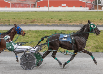 Fraser Downs having record-setting meeting