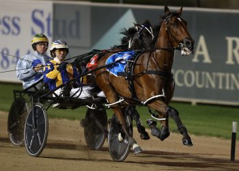 Frankie is Ferocious in the Chariots