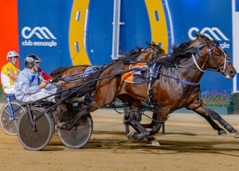 Kiwi pacer superb in Group Two FFA
