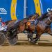 Kiwi pacer superb in Group Two FFA